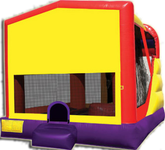 bounce house and slide combo rental